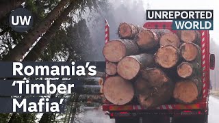 Romania’s deadly Timber Mafia  Unreported World [upl. by Libove]