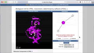 NCBIの構造系ツールを使ってタンパク質の関連情報を調べる [upl. by Frank71]