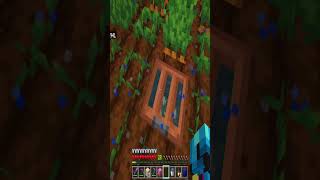 Minecraft New Village Carrot Farm mc minecraft realms multiplayer shorts [upl. by Ennire]