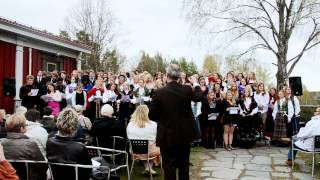 Siste skoledag på Elverum folkehøgskole 20112012  Kringsatt av fiender [upl. by Gerdeen]