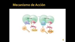 Inhibidores de la Tirosin Cinasa [upl. by Nilloc]