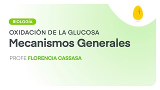 Mecanismos Generales  Biología  Oxidación de la Glucosa  V1  Egg Educación [upl. by Nedle]