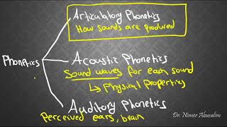 PHONETICS4 Articulatory Phonetics amp Voicing [upl. by Ahsikrats]