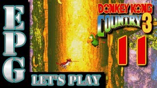 Exo Plays Donkey Kong Country 3 GBA 103 Episode 11 [upl. by Soisanahta]