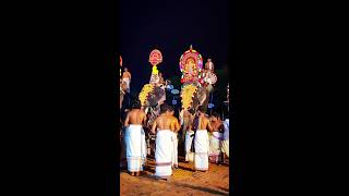 Kerala Temple Festivals 👑🐘 Elephant Festival in Kollam 😍 Kollam Pooram ❤️ Festivals of India [upl. by Assirrac]