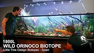 1800 liter  Wild Orinoco Biotope  Little Tree Design Biotopes [upl. by Oiluarb912]