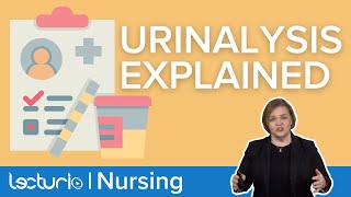 What A Urinalysis Can Tell You Visual amp Chemical Exam  Lecturio Nursing [upl. by Notsruht]