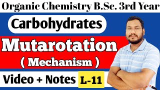 Mutarotation with Mechanism Carbohydrates BSc 3rd year organic chemistry [upl. by Yurik]