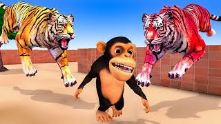 Temple Run Funny Monkey Run Away From Giant Tigers Ice Cream Fight  Animals Home Animation [upl. by Patti]