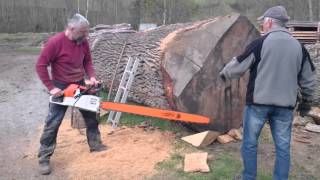 Stihl ms 880 150cm vs big oak log [upl. by Sherborn]