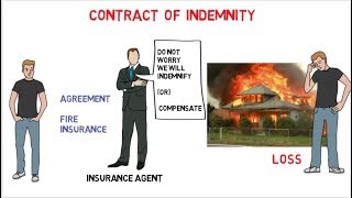 Contract of Indemnity Indian Contract Act 1872 [upl. by Yretsym]