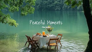 a playlist piano for peaceful moments🌱🌸 a quiet life playlist [upl. by Shanahan]