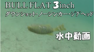 デプス ブルフラット３インチ 水中動画 ダウンショットジグヘッドノーシンカー Deps BULLFLAT 3inch [upl. by Agni629]