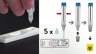 Rapid antigen screening [upl. by Elna]