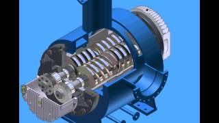 Twin Screw Pump Operation  Cutaway [upl. by Arimas116]