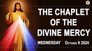 Chaplet of the Divine Mercy I Wednesday October 9 2024 I Divine Mercy Prayer I 1200 PM [upl. by Uah345]