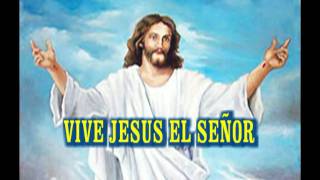 Adorazione Vive Jesus el Senor [upl. by Wentworth]