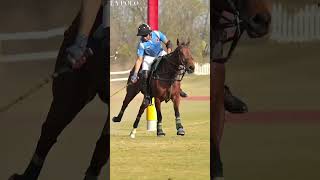 Get ready for the most exciting polo season The Indian Polo Season 2024 polo pony indianpolo [upl. by Naresh]