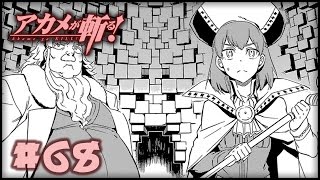 Akame ga Kill アカメが斬る Chapter 68 Manga Review by Tops [upl. by Eseryt534]