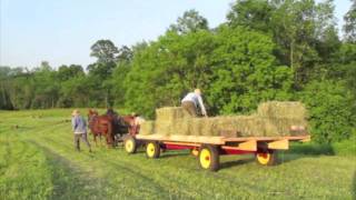 Haying with Draft Horses at Full and By Farm [upl. by Sparke1]