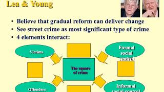 Left realist view of crime and deviance [upl. by Estrellita]