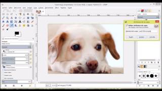 ¿Cómo hacer un gif en GIMP 28 [upl. by Jammie107]