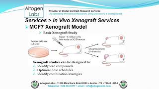 Altogen Labs MCF7 Xenograft Service Breast Cancer [upl. by Atsocal228]