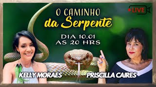 O Caminho da Serpente  Priscilla Caires e Kelly Moraes [upl. by Kristien196]