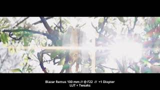 Blazar Remus 100mm Closeup test 1 Diopter Anamorphic lens [upl. by Acul]