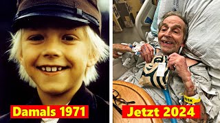 👦 Michel aus Lönneberga 1971 👵 Alle Schauspieler Damals amp Heute 2024 [upl. by Demitria]