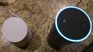 Alexa Amazon Echo and Google Home infinite loop conversation [upl. by Matteo]