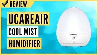 IT How to fill a humidifier [upl. by Lissy]