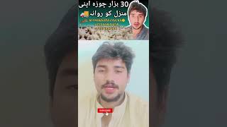 HUSNAIN BHAI FAKIEH VLOG foryou virlvideo poppular trading allahhoakbar gesibanglari [upl. by Oicirtap167]