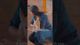 World kindness dayNov 13 🤍 kindness archanabellemane explore explorepage animallover love [upl. by Mairam]