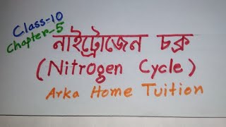 Nitrogen Cycle Envs  class 10 Life science chapter 5Biogeochemical cycle Bengali Education [upl. by Machutte]