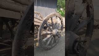 bullock cart bullockcart viralvideo shorts [upl. by Robinette]