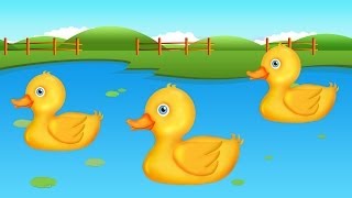 10 Little Ducks Song  10 Little Numbers Song [upl. by Siaht]