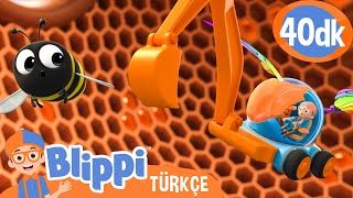 Blippi Arıların Nasıl Bal Yaptığını Keşfediyor 🍯  Blippi Türkçe  Çocuklar için Eğitici Videolar [upl. by Trumann]