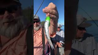 Warren Frederickson Outdoors is live Oroville chinook [upl. by Eekcaj334]