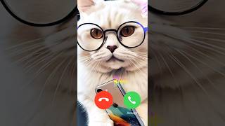 John cat calling me 💔💔💔 stylist cute cat shortfeed ringtone call [upl. by Magree661]