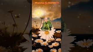 गुरुजी अमृतवेला कैसे संभाले amritvela shorts ytshorts viral satsang gurujisatsangamritvela [upl. by Bridges]