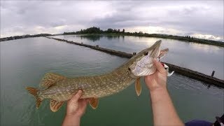 Pêche du brochet par temps orageux  Que la fête commence [upl. by Tatianna]