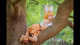 【小柔 SeeU】Tiểu Nhu Dance Welcome To Japari Park OP Kemono Friends [upl. by Lyckman]