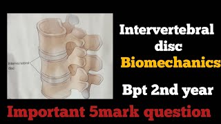 Intervertebral disc Tamil  biomechanics of spine function intervertebral disc biomechanics inதமிழ் [upl. by Ube757]