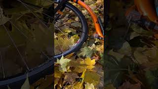 kickbike самокат Катаем погода осень 🍂 [upl. by Eerok]