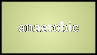 Anaerobic Meaning [upl. by Bacchus]