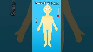 Terminología médica  Terminología de enfermería  Terminología de ciencias de la salud [upl. by Allehcram]