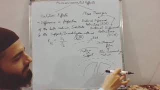 Introduction to Microenvironmental effects Partition effect on immobilized enzymes [upl. by Coats532]