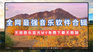 全网最强音乐软件合辑，告别音质压缩无损音乐免费聆听下载无限制 [upl. by Jephum]