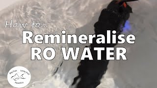 How to remineralise RO water  Freshwater Aquariums [upl. by Miyasawa]